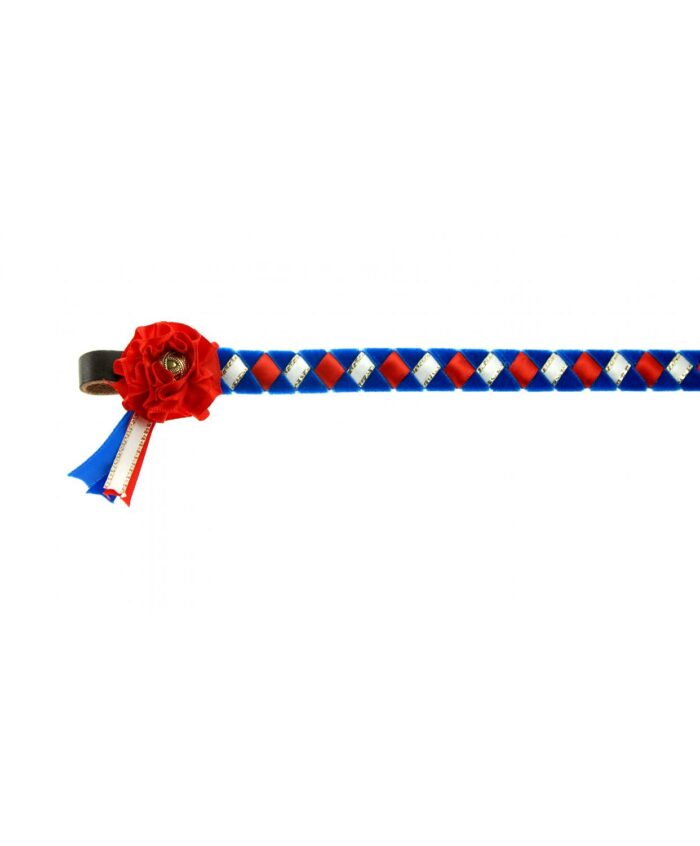 Skipton browband - Image 2