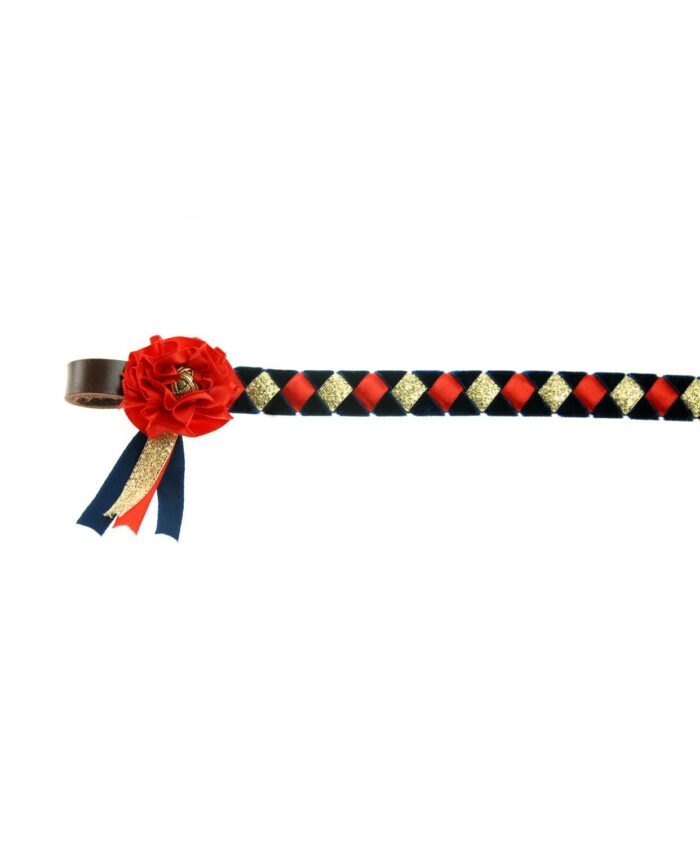 Skipton browband - Image 5