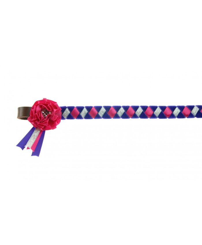 Skipton browband - Image 6